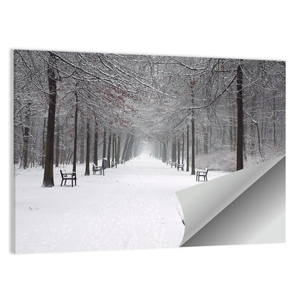 Park Lane in Snow Wall Art