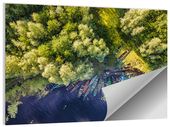 Cluster of Boats Along Forest Shore Wall Art as a poster print