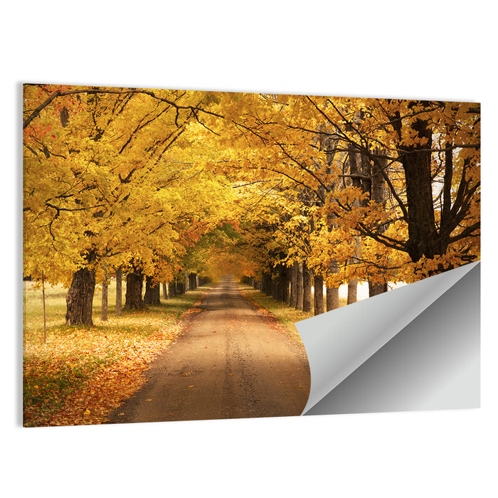 Golden Autumn Road Wall Art as a poster print