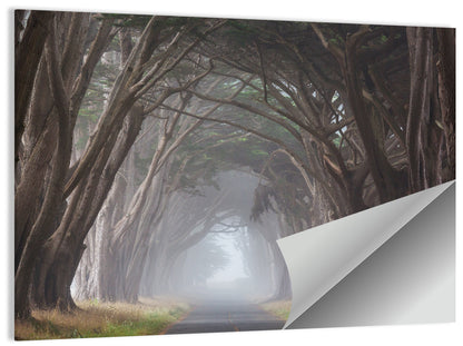 Misty Trees Alley Wall Art