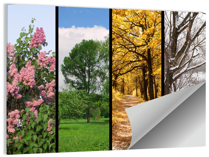 Four Seasons Tree Collage Wall Art as a poster print