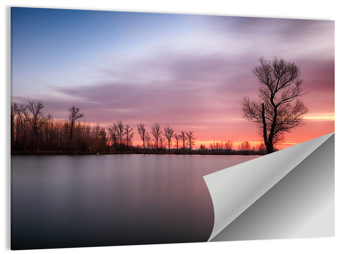 Solitary Island Tree at Sunset Wall Art as a poster print