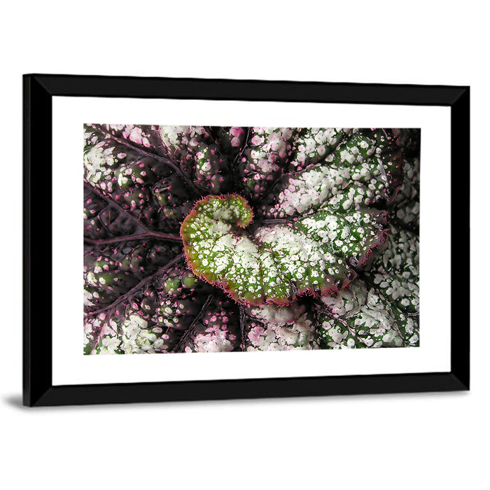 Begonia Leaf Spiral Geometry Wall Art as a framed print