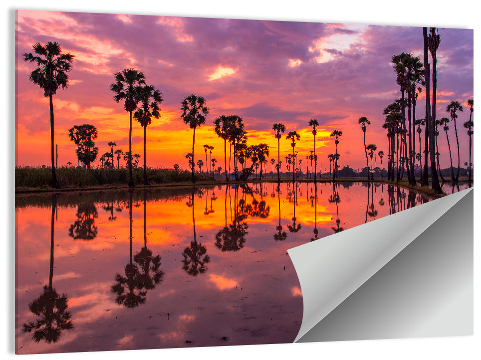 Palm Trees Sunset Reflection Wall Art