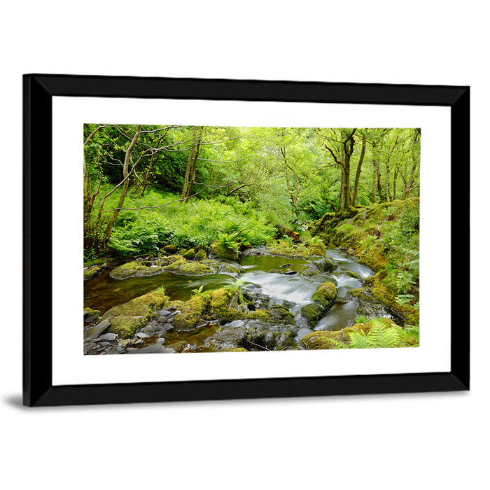 Mossy Stream Through Forest Wall Art as a framed print