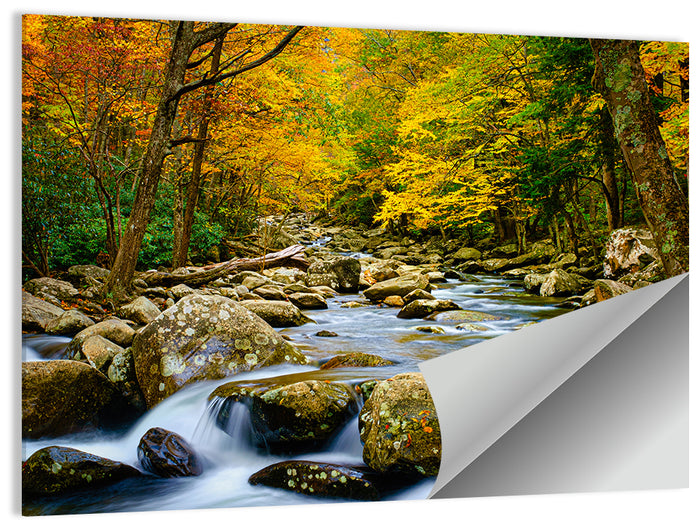 Autumn Stream Through Forest Wall Art as a poster print