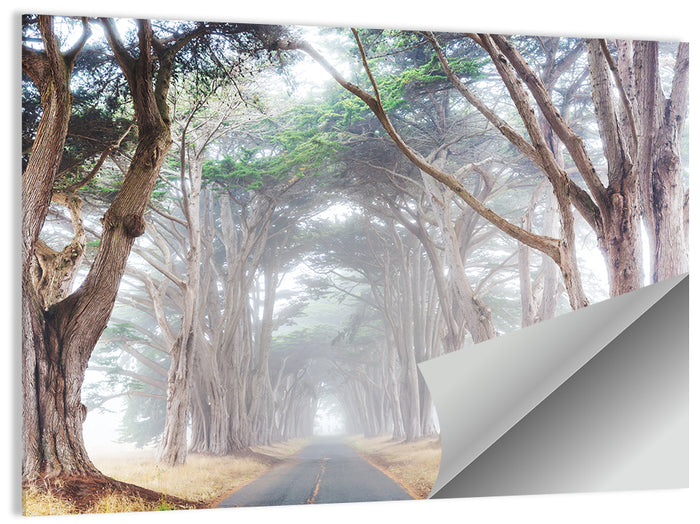 Misty Morning Alleyway Wall Art as a poster print