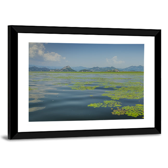 Lake Skadar Water Lilies Wall Art as a framed print