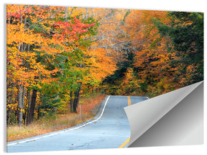 New Hampshire Autumn Way Wall Art