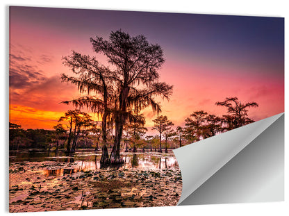 Caddo Lake State Park Wall Art