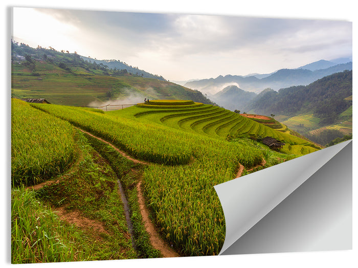 Terraced Rice Paddies Wall Art as a poster print