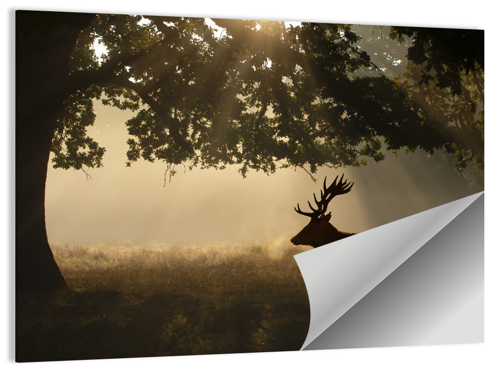 Misty Stag Silhouette Wall Art