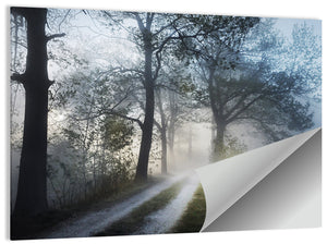 Foggy Forest Pathway Wall Art