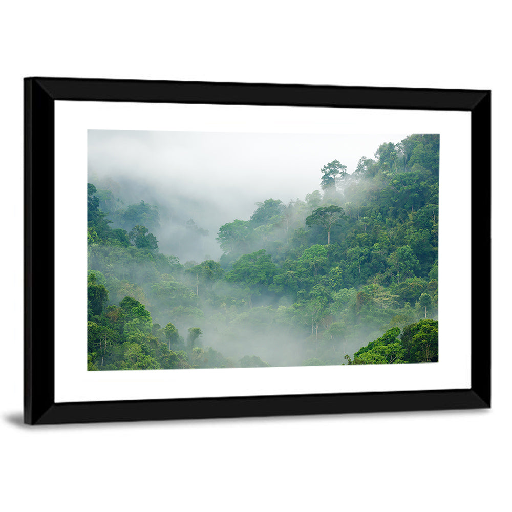 Misty Rainforest Morning Wall Art