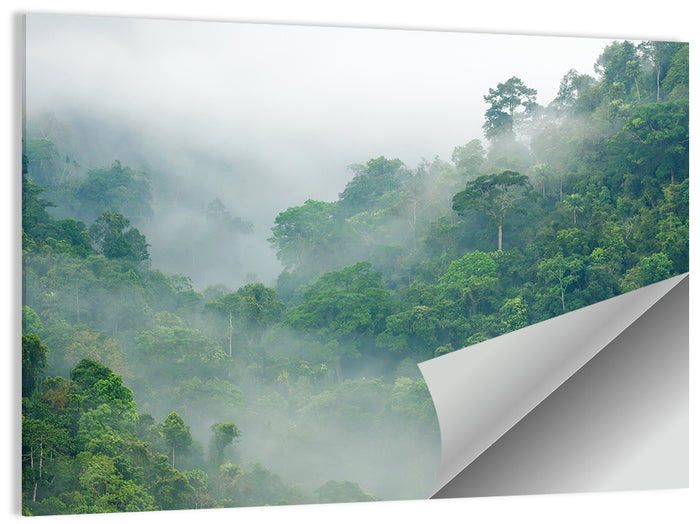 Misty Rainforest Morning Wall Art as a poster print