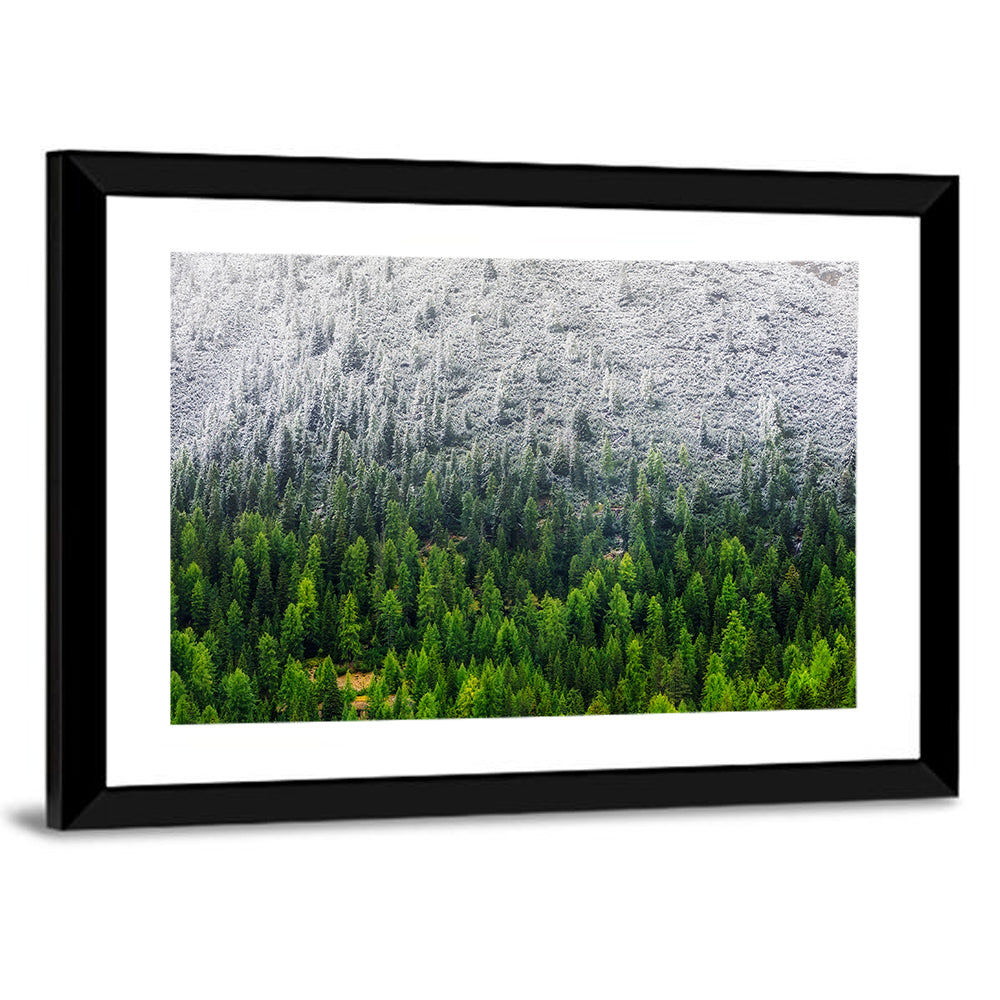 Snowy Dolomites Forest Wall Art