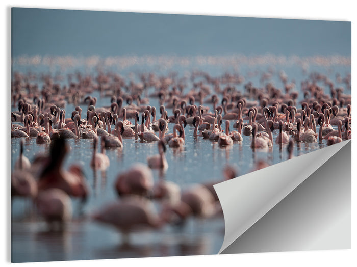 Flamingos at Lake Bagoria Wall Art as a poster print