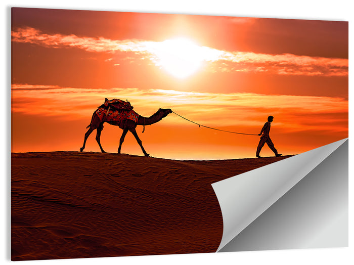 Man Leading Camel at Dusk Wall Art as a poster print