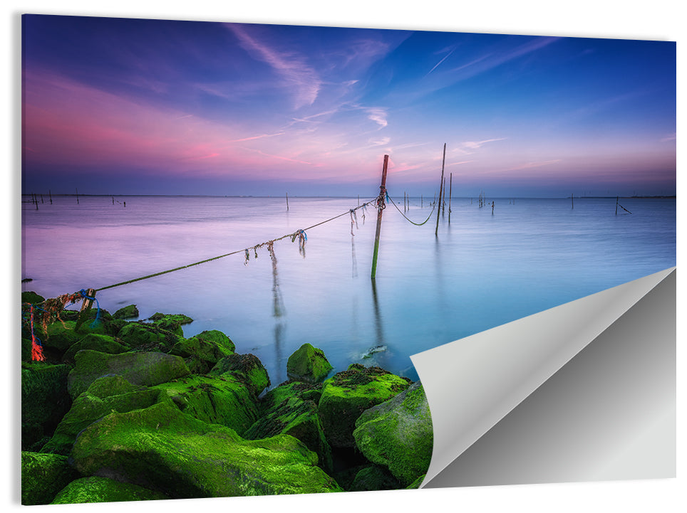 Mossy Coastal Rocks at Dusk Wall Art