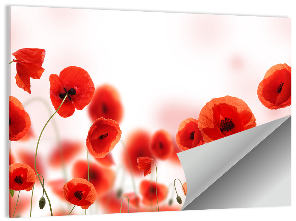 Red Poppy Field Wall Art