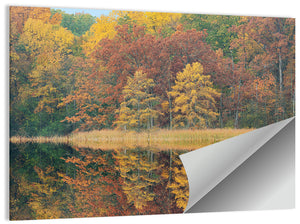 Douglas Autumn Lake Wall Art