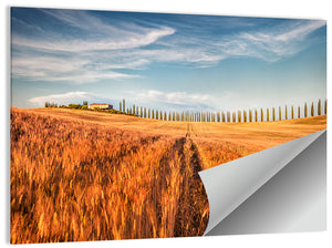 Tuscan Wheat Field Wall Art