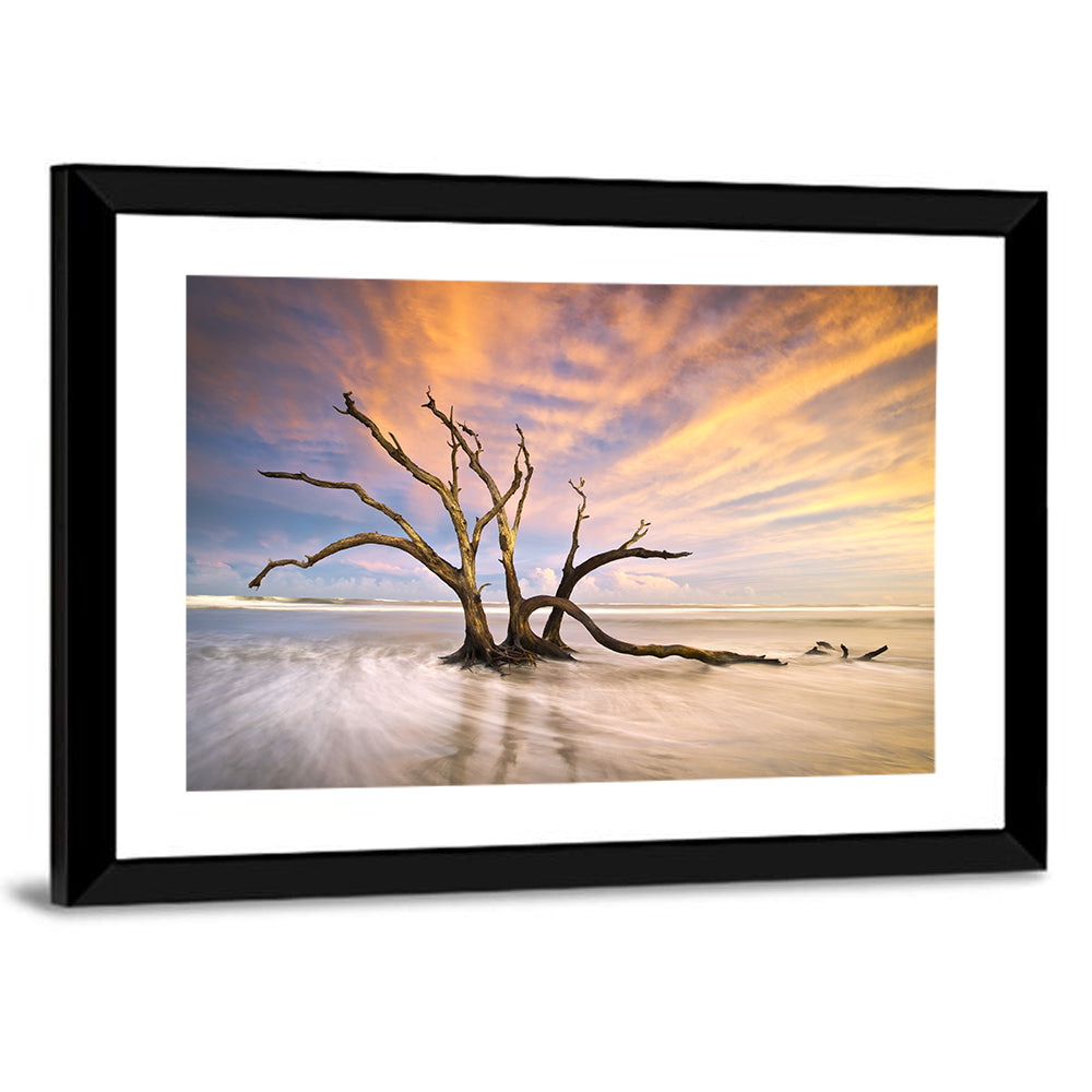 Folly Beach Driftwood Sunset Wall Art