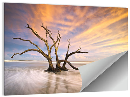 Folly Beach Wall Art