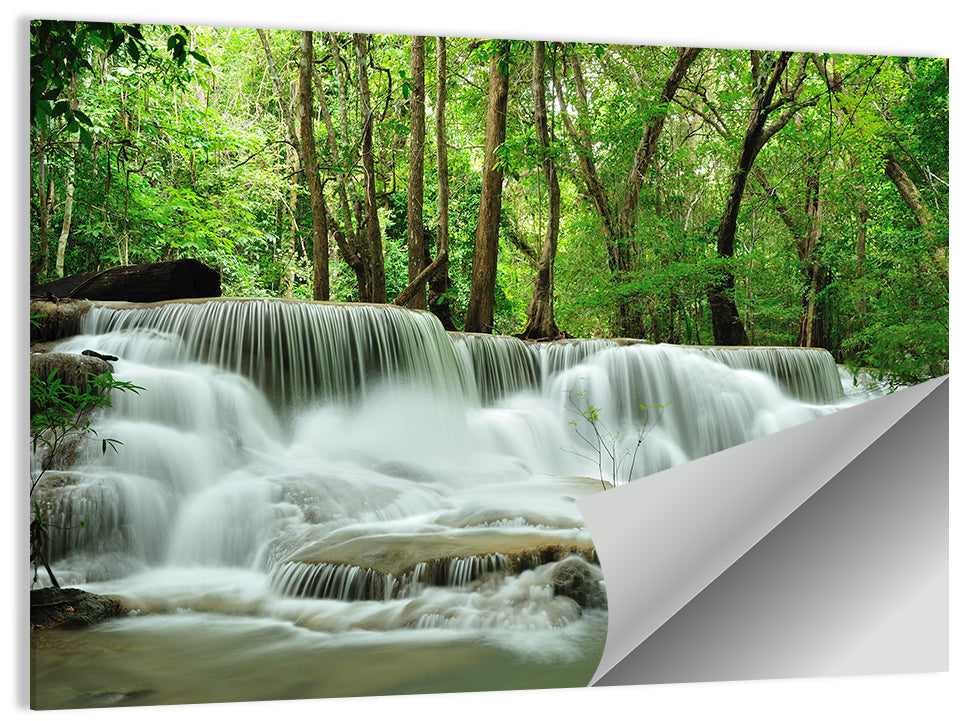 Forest Waterfall Wall Art