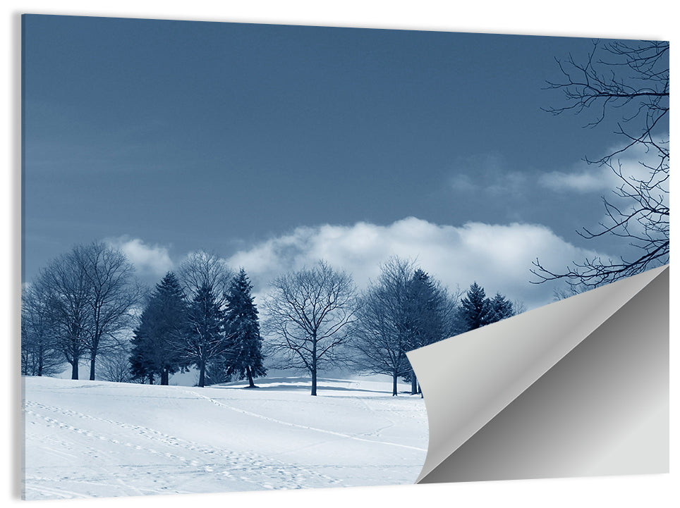 Snowy Field with Tracks Wall Art