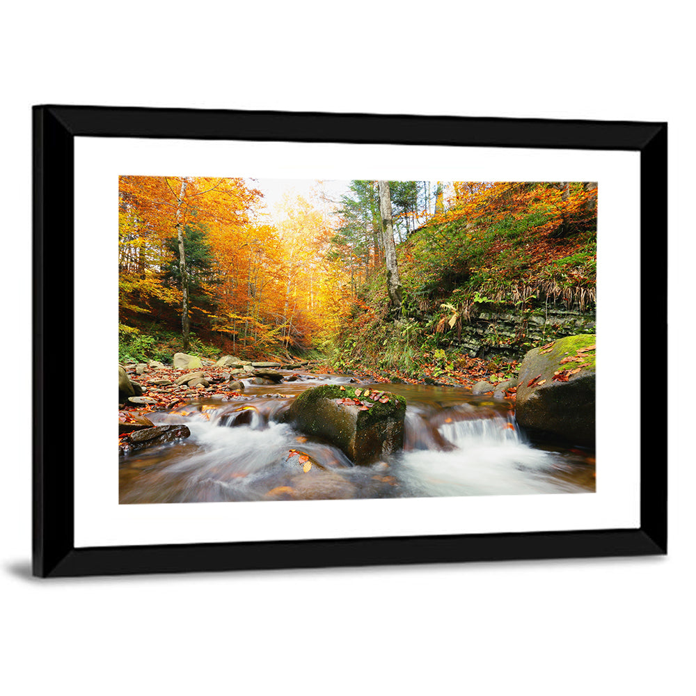 Autumn Forest Stream Wall Art