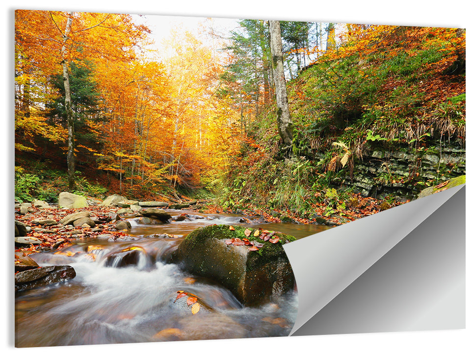 Autumn Forest Stream Wall Art