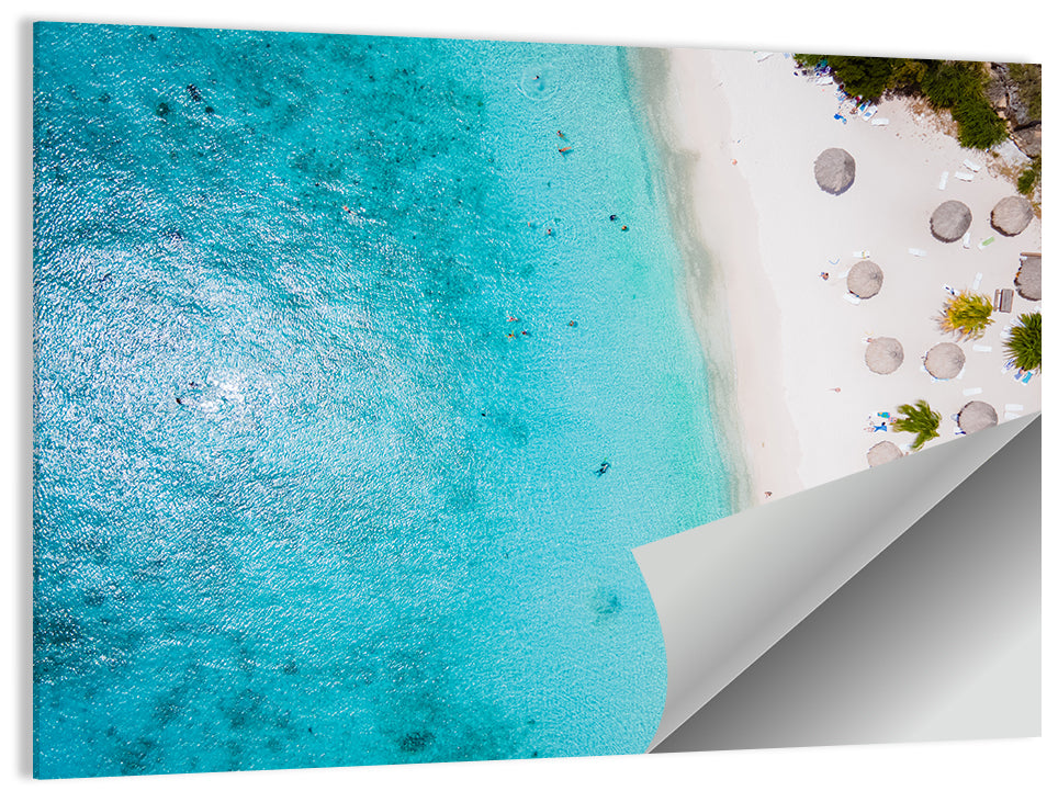 Cas Abou Aerial Shoreline Wall Art