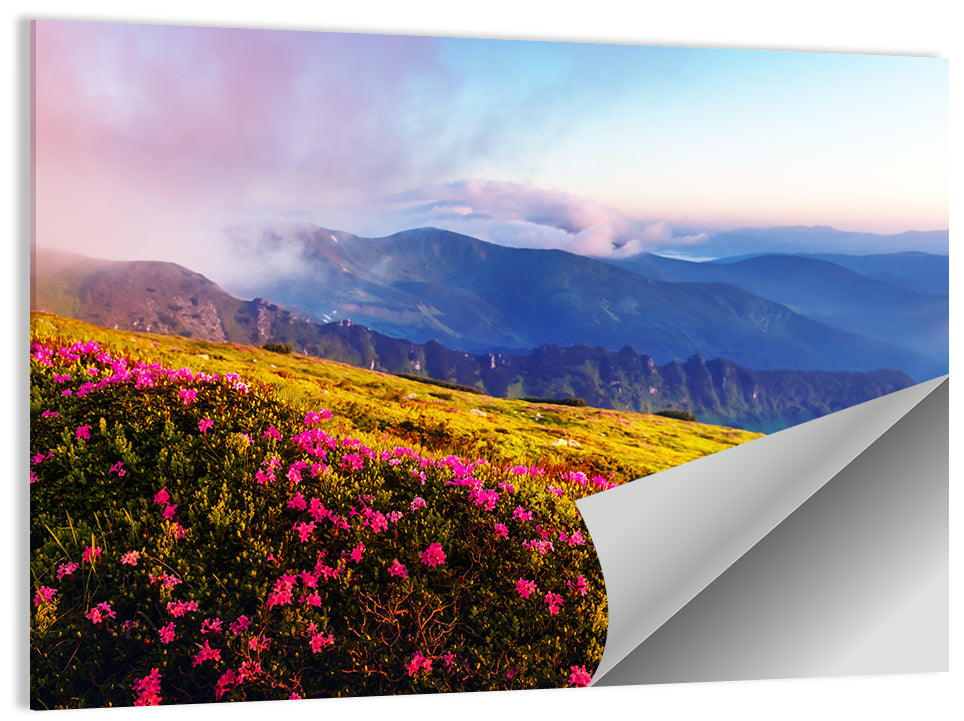 Alpine Rhododendron Meadow at Golden Hour Wall Art