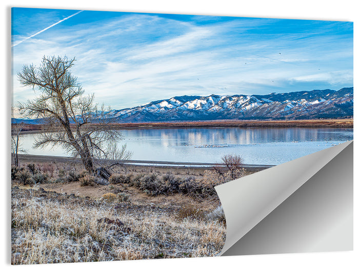 Winter Washoe Lake Morning Wall Art as a poster print