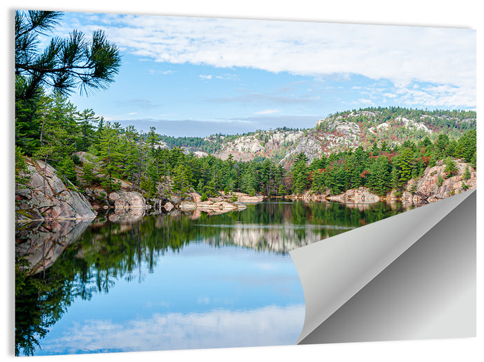 Mirror-quiet Lake and Pines Wall Art as a poster print