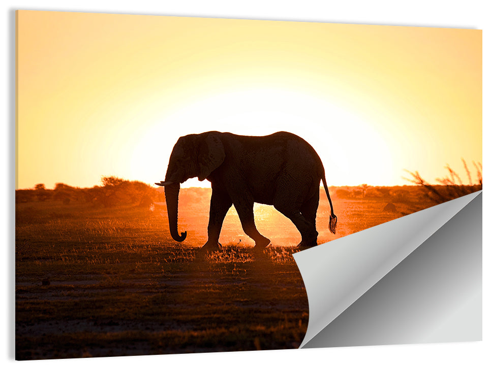 Golden Hour Elephant Silhouette Wall Art
