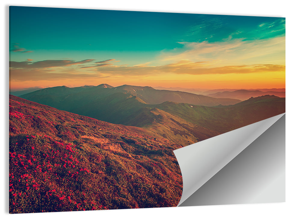 Alpine Rhododendrons at Golden Sunrise Wall Art