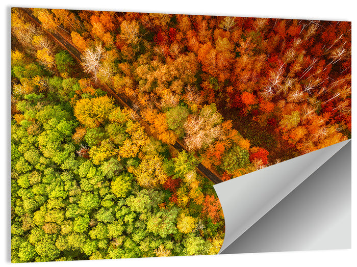 Winding Road Through Autumn Forest Wall Art as a poster print