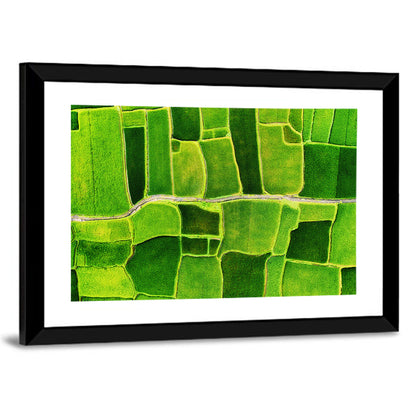 Green Rice Terraces Wall Art