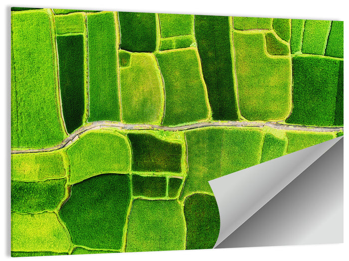 Verdant Rice Terrace Grid Wall Art as a poster print