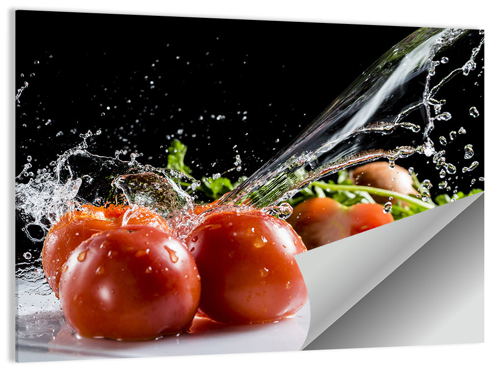 Tomatoes with Water Splash Wall Art