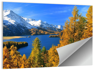 Lake Silsersee Wall Art