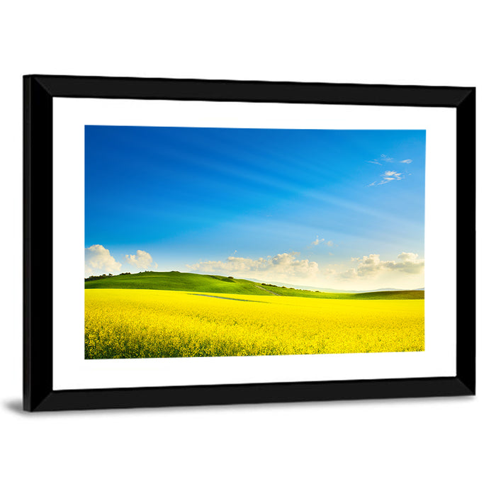 Rapeseed Field and Rolling Hills Under Blue Sky Wall Art as a framed print