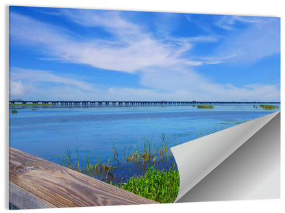 Meaher State Park Wall Art