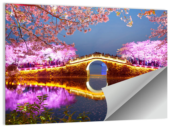 Illuminated Cherry Blossom Bridge Wall Art as a poster print