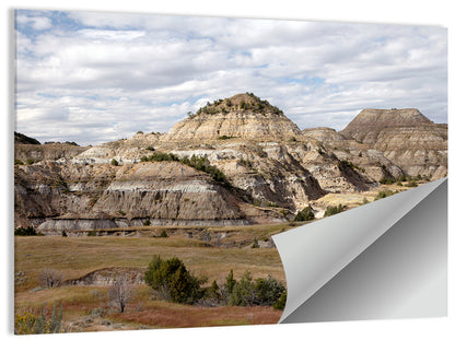 Theodore Roosevelt National Park Wall Art