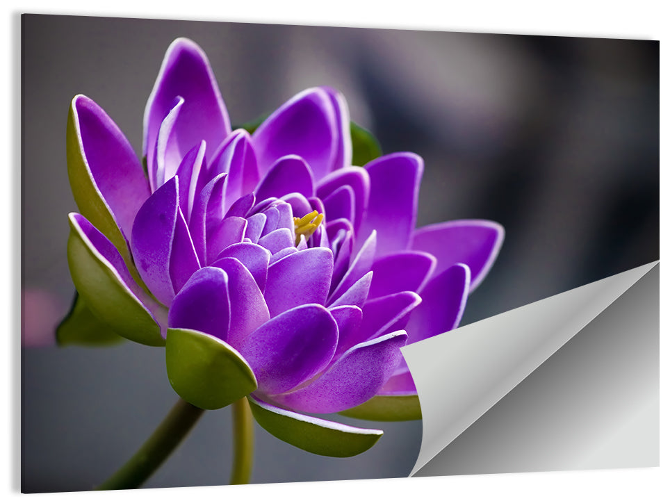 Purple Flower Wall Art