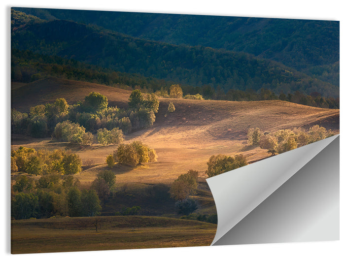 Bashang Plateau Golden Hour Wall Art as a poster print