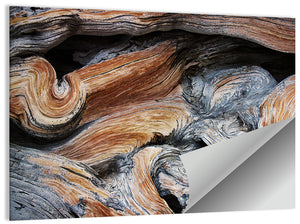 Juniper Wood Texture Wall Art